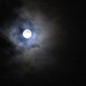 090807-01.jpg