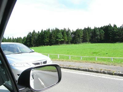 0f5d0333.jpg