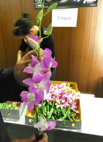 090927-04.jpg