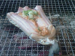 201006071226_925.jpg
