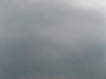IMG_1486.jpg