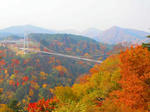 九重夢大吊橋