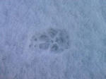 201101170701_191.jpg