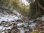 IMG_2043.jpg