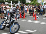 IMG_3835.jpg