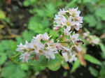 IMG_4331.jpg