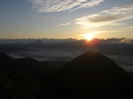 IMG_4563.jpg