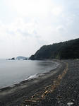 IMG_4940.jpg