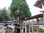 IMG_4289.jpg