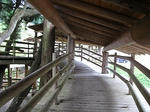 IMG_4299.jpg