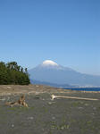 IMG_5142.jpg