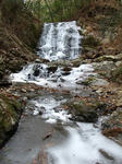 IMG_5268.jpg