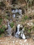 IMG_5291.jpg
