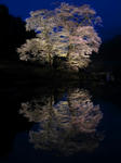 IMG_5646.jpg