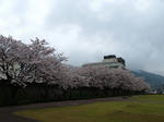 IMG_5524.jpg