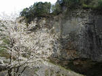 IMG_5868.jpg