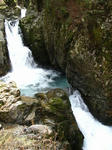 IMG_5901.jpg