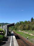 IMG_5984.jpg