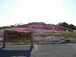 IMG_6122.jpg