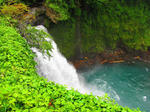 IMG_6349.jpg
