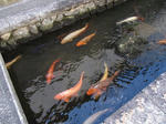 IMG_6555.jpg