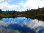 IMG_6663.jpg