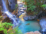 IMG_7227.jpg
