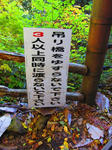 IMG_7240.jpg