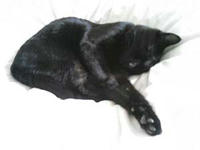 blog2009_4-26_2.jpg