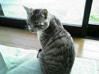 blog2009_4-26_3.jpg