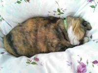blog2009_4-28_2.jpg