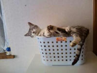 blog2009_5-5_1.jpg