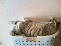 blog2009_5-5_2.jpg