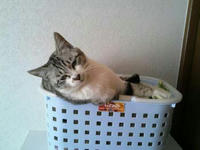 blog2009_5-5_3.jpg