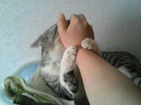 blog2009_5-5_4.jpg