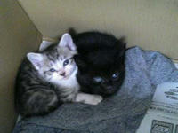 blog2009_5-6_1.jpg
