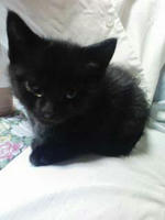 blog2009_5-6_2.jpg