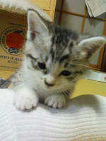 blog2009_5-6_3.jpg
