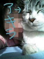 blog2009_5-6_4.jpg
