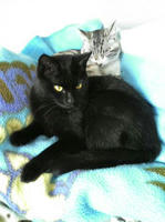 blog2009_5-8_1.jpg