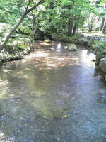 blog2009_5-10_5.jpg