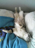 blog2009_5-13.jpg
