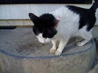blog2009_5-14_3.jpg