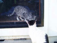 blog2009_5-14_4.jpg