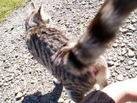 blog2009_5-14_6.jpg