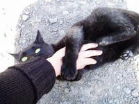 blog2009_5-14_7.jpg