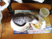 blog2009_5-18_1.jpg