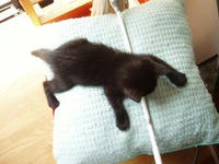 blog2009_5-18_2.jpg