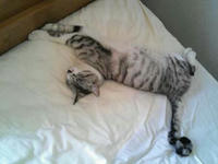 blog2009_5-18_6.jpg