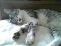 blog2009_5-18_7.jpg
